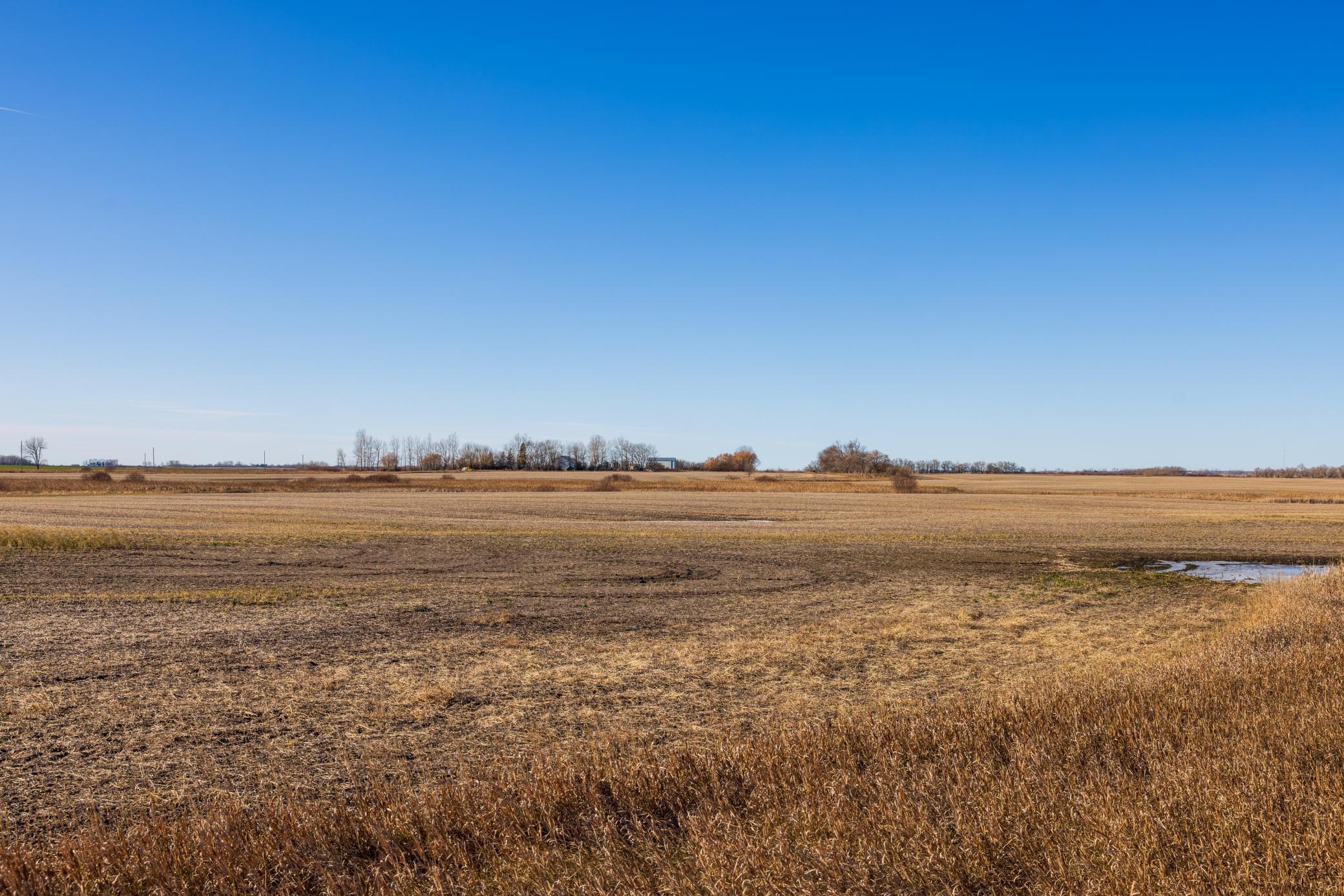 Amdak__Rolla ND (500 Acres)_0052.jpg