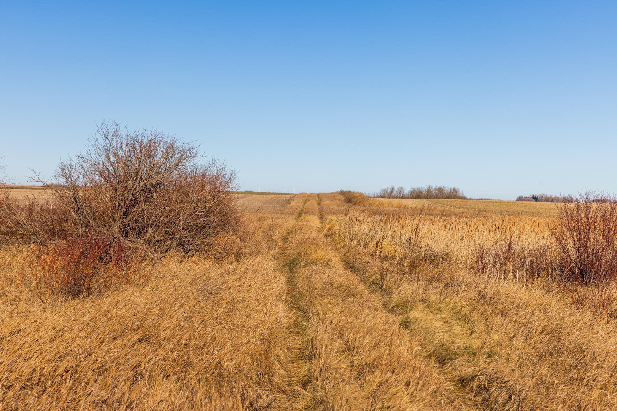 Amdak__Rolla ND (500 Acres)_0051.jpg