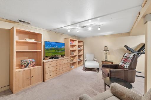 Fun family room in lower level. A place for family and friends to gather. Let's watch television, movies, play video games, board or card games. Great space for talking, reading, studying, storytelling, or just hanging out.