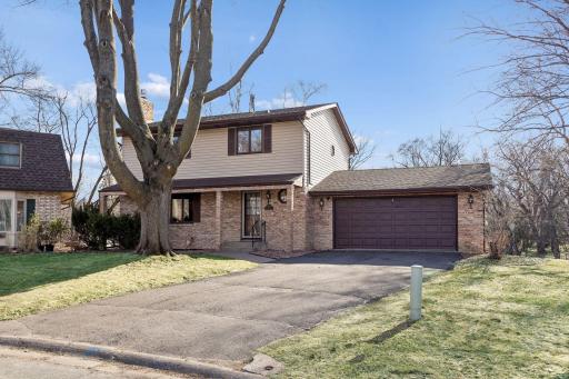 1912 Serendipity (3).jpg