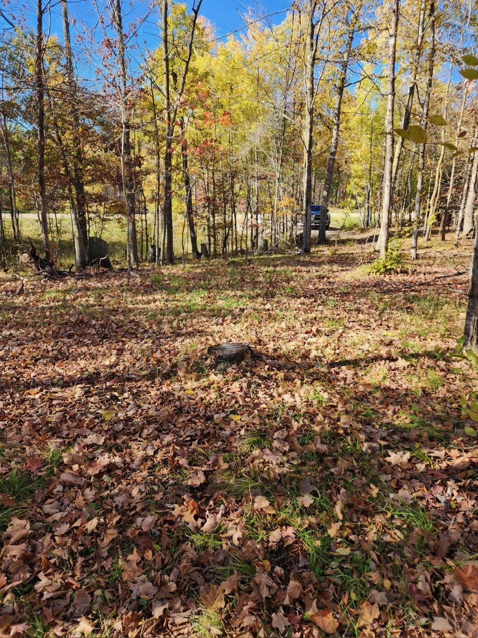 lot 2.JPG