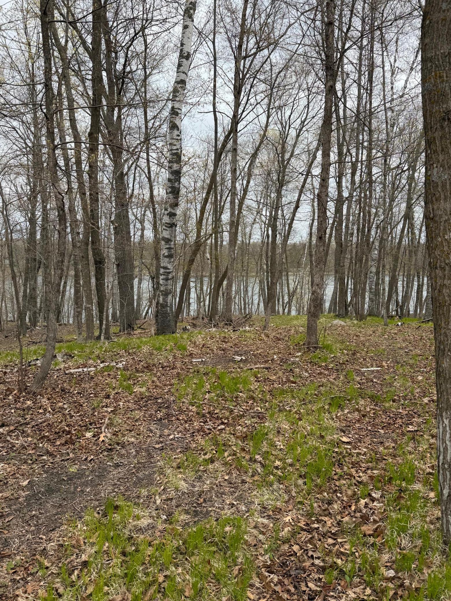 lot to lake.jpeg