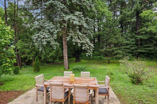 Summer Photos: Private and wooded back yard with patio