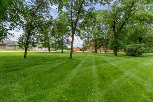 Another view of the front yard - so much space to enjoy!
