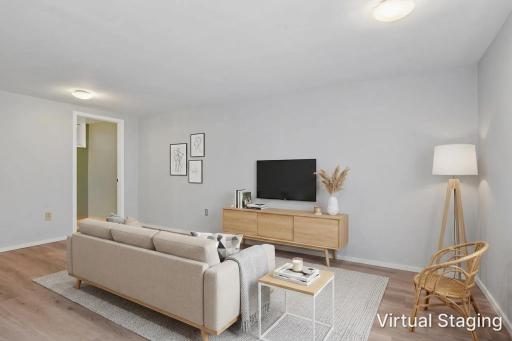 Lower level as a family room - virtually staged