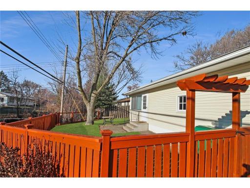 The patio comes to life!