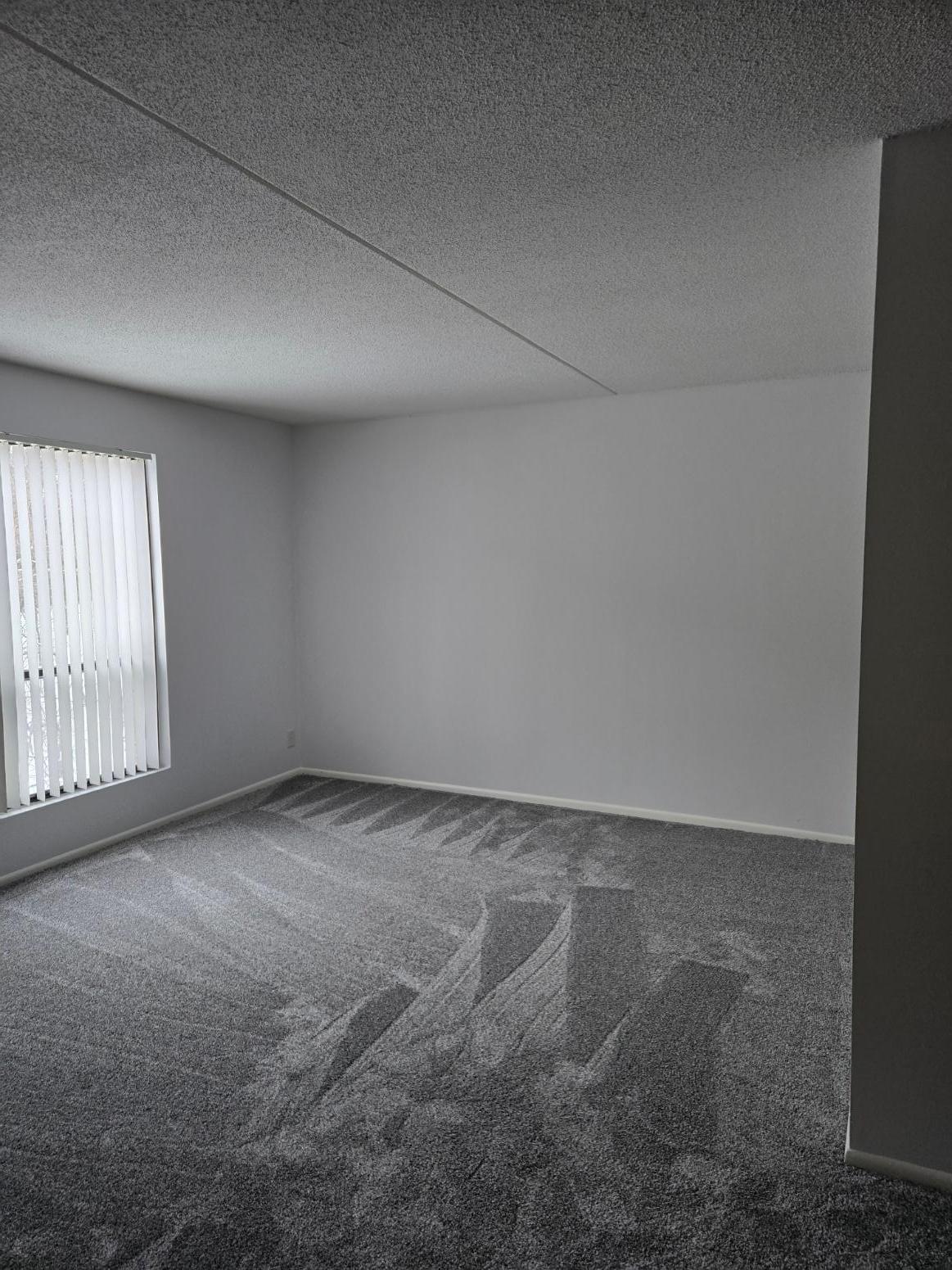 Large Living Sleeping area Ed.jpg