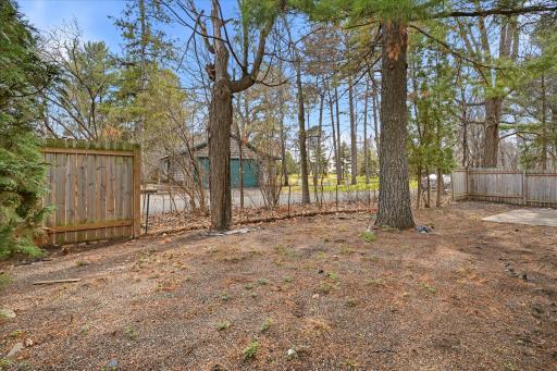 Well established trees create a natural privacy buffer