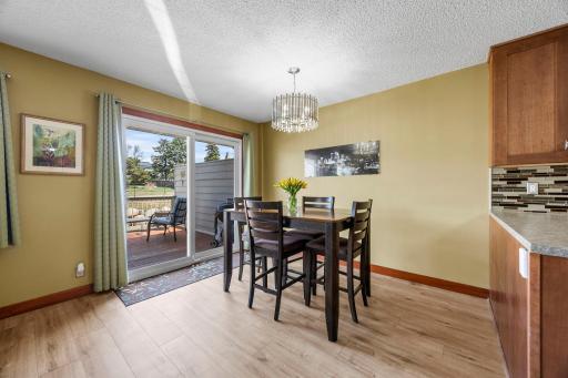10213 Cavell Circle, Minneapolis, MN 55438