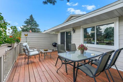 10213 Cavell Circle, Minneapolis, MN 55438