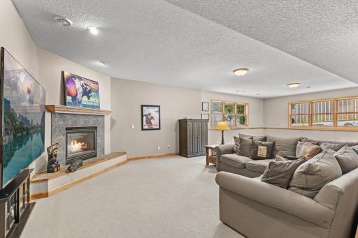 Family Room - Lower Level - Features Look Out Windows