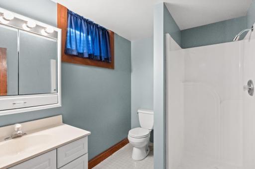 Basement Bathroom