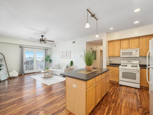 2900 11th Avenue S, 413, Minneapolis, MN 55407