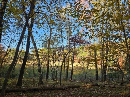 Gorgeous fall colors