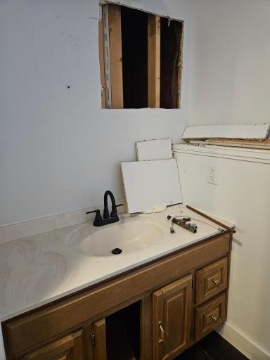 Lower level bathroom