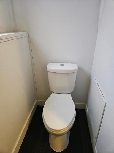 Lower level bathroom