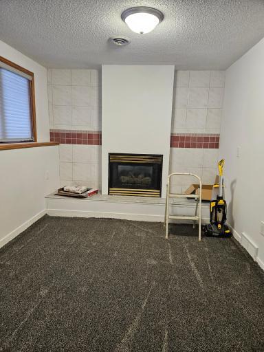 Family Room fireplace