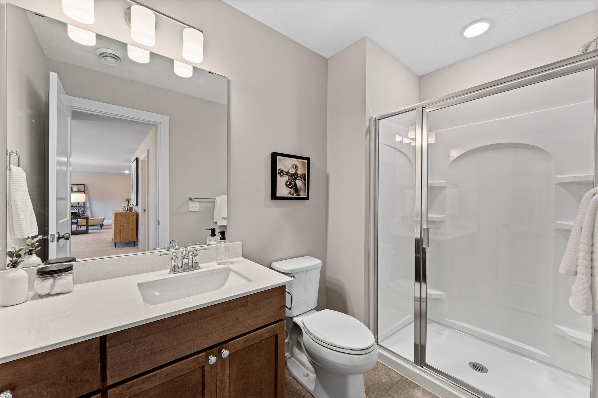 Lower level bathroom