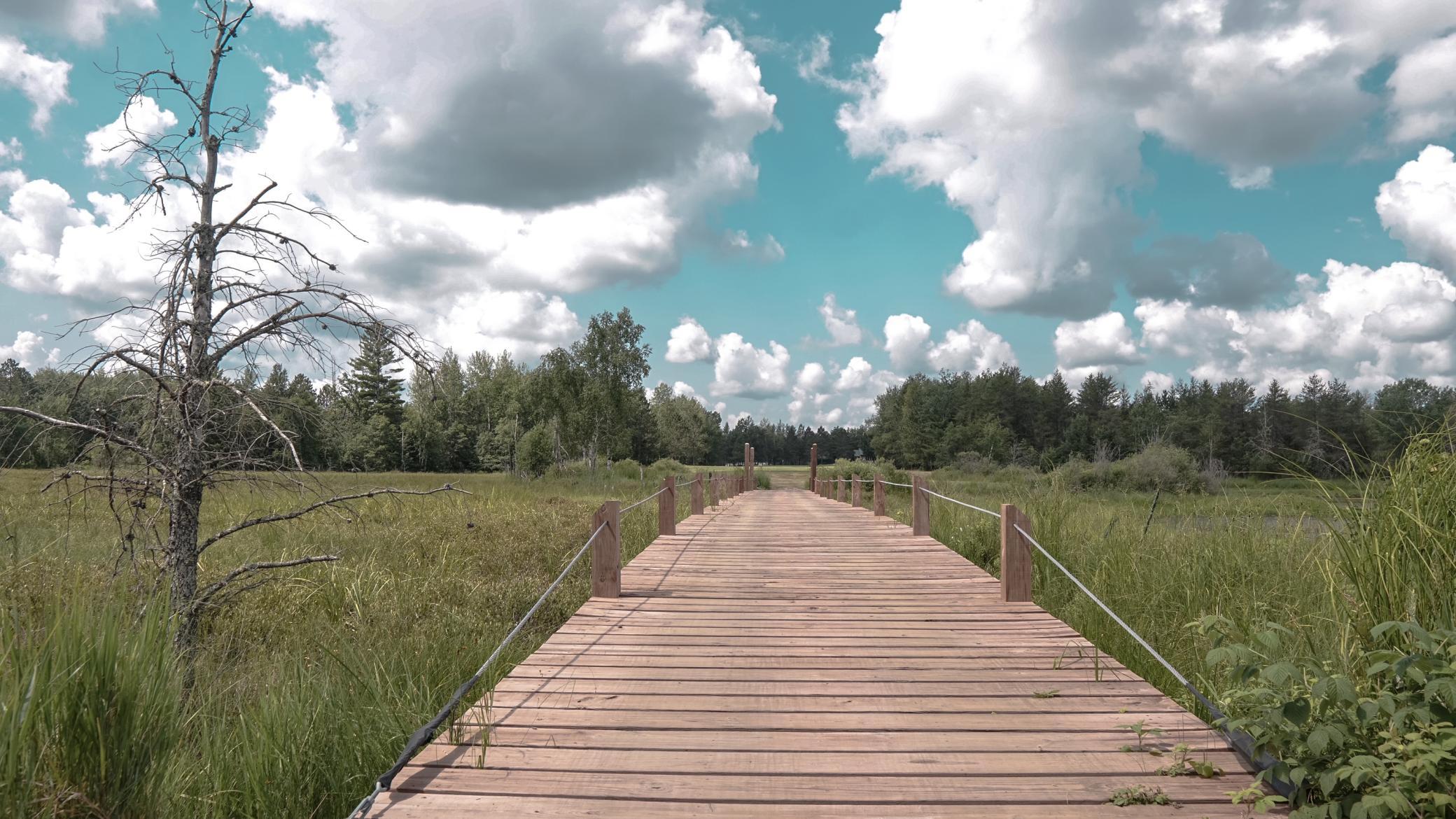 New bridge