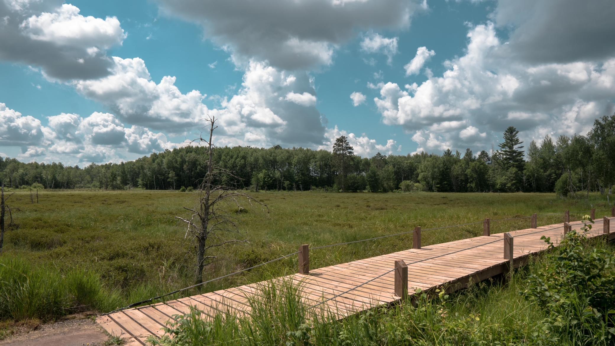 New bridge