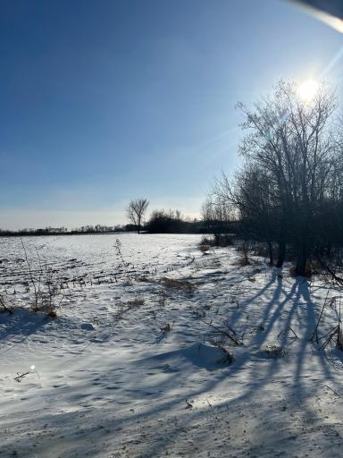 XXXX 285th (180 Acres) Street, Northfield, MN 55057