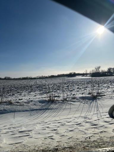 XXXX 285th (180 Acres) Street, Northfield, MN 55057