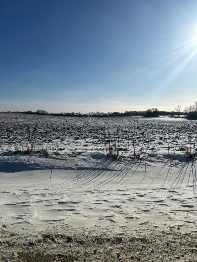 XXXX 285th (180 Acres) Street, Northfield, MN 55057