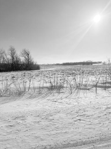 XXXX 285th (180 Acres) Street, Northfield, MN 55057