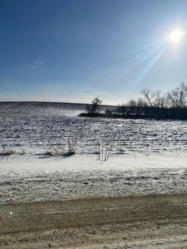 XXXX 285th (180 Acres) Street, Northfield, MN 55057