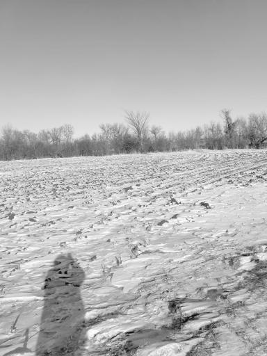 XXXX 285th (180 Acres) Street, Northfield, MN 55057
