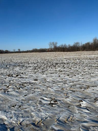 XXXX 285th (180 Acres) Street, Northfield, MN 55057