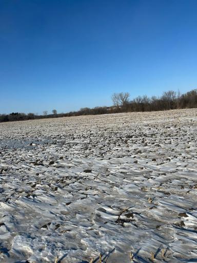 XXXX 285th (180 Acres) Street, Northfield, MN 55057