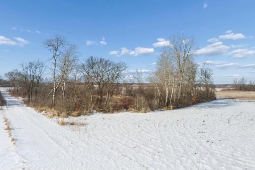 XXXX 285th (180 Acres) Street, Northfield, MN 55057