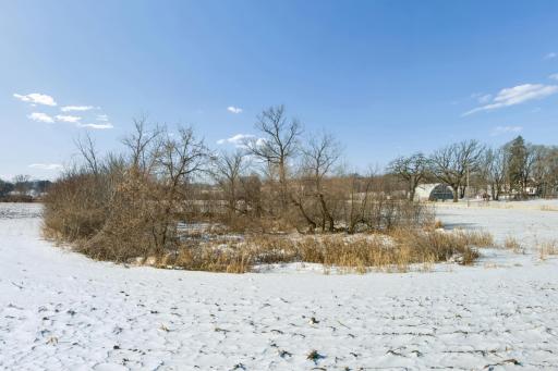 XXXX 285th (180 Acres) Street, Northfield, MN 55057