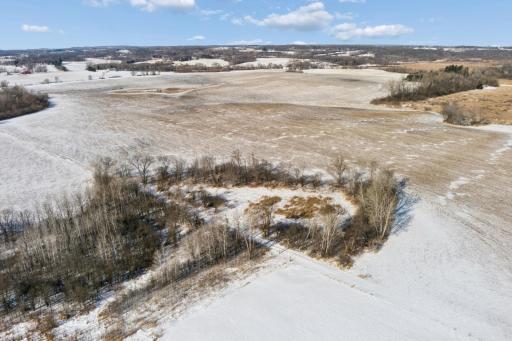 XXXX 285th (180 Acres) Street, Northfield, MN 55057
