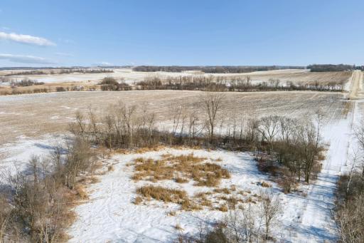 XXXX 285th (180 Acres) Street, Northfield, MN 55057