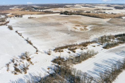XXXX 285th (180 Acres) Street, Northfield, MN 55057