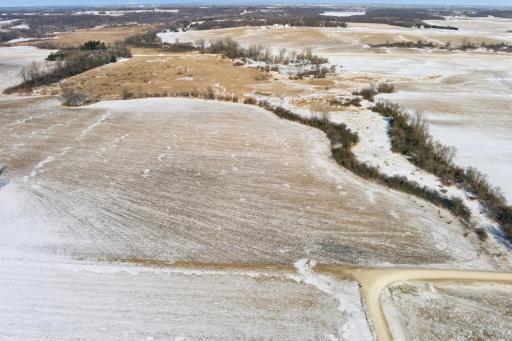 XXXX 285th (180 Acres) Street, Northfield, MN 55057