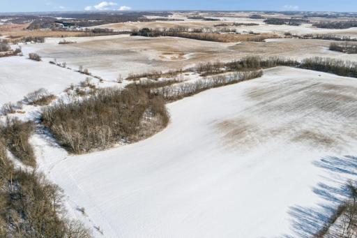 XXXX 285th (180 Acres) Street, Northfield, MN 55057