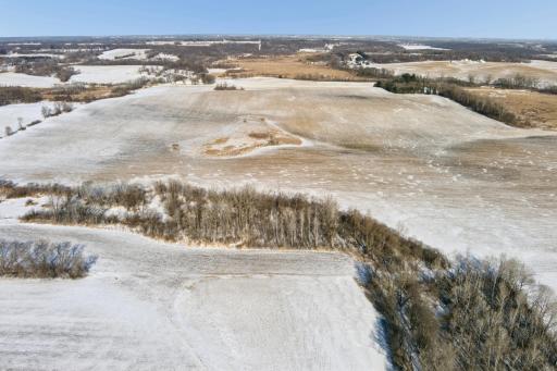 XXXX 285th (180 Acres) Street, Northfield, MN 55057