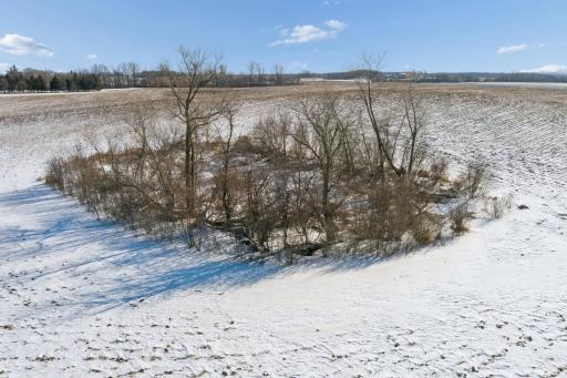 XXXX 285th (180 Acres) Street, Northfield, MN 55057