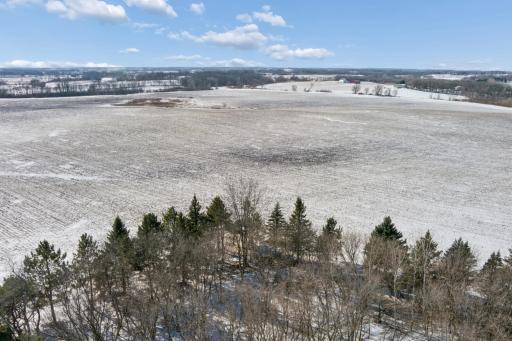 XXXX 285th (180 Acres) Street, Northfield, MN 55057