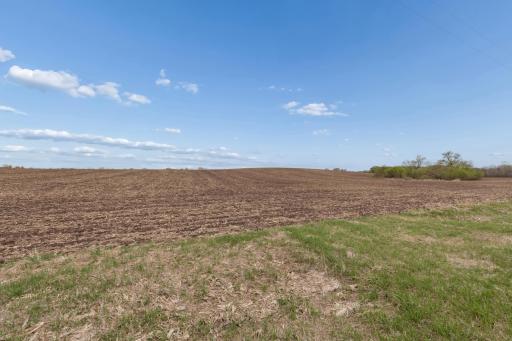 XXXX 285th (180 Acres) Street, Northfield, MN 55057