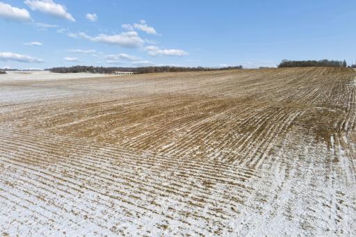 XXXX 285th (180 Acres) Street, Northfield, MN 55057