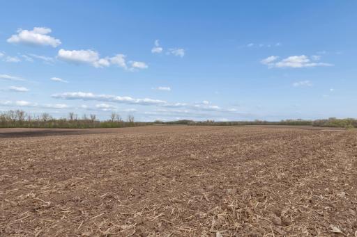 XXXX 285th (180 Acres) Street, Northfield, MN 55057