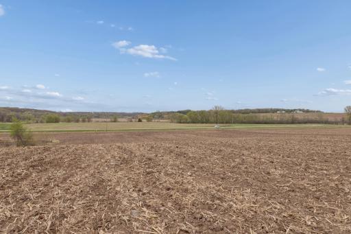 XXXX 285th (180 Acres) Street, Northfield, MN 55057