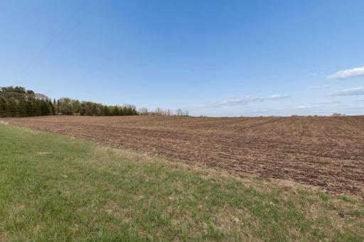 XXXX 285th (180 Acres) Street, Northfield, MN 55057