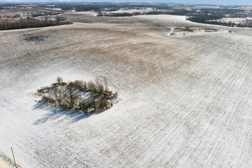 XXXX 285th (180 Acres) Street, Northfield, MN 55057