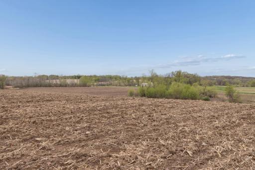XXXX 285th (180 Acres) Street, Northfield, MN 55057