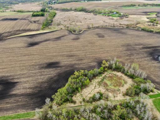 XXXX 285th (180 Acres) Street, Northfield, MN 55057